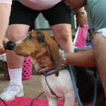 IMG_5360 IMG_5360