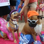 IMG_5414 IMG_5414
