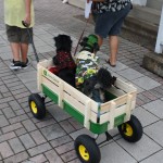 IMG_5448 IMG_5448